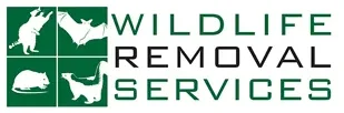 Wildlife Removal Services