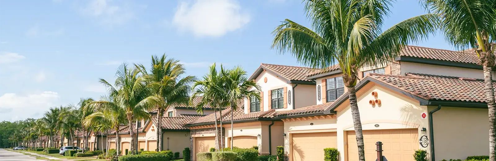 neighborhood homes with palm trees