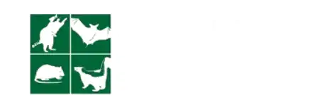 Wildlife Removal Services